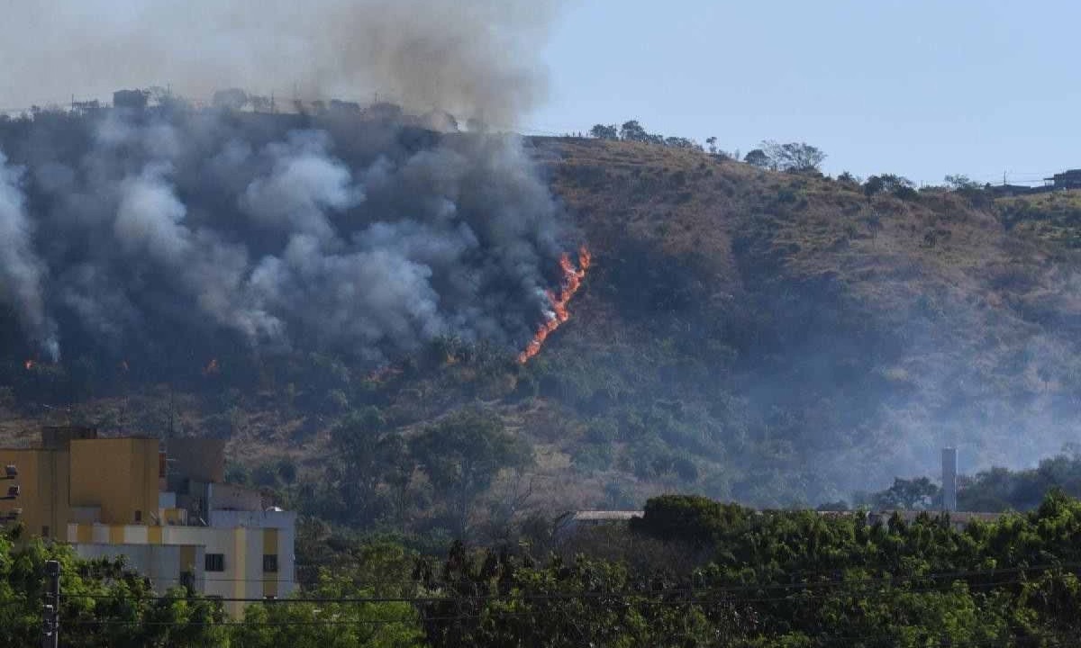 Junho de 2024 foi o mês com mais registros de incêndios nos últimos cinco anos -  (crédito: Gladyston Rodrigues/EM/D.A. Press)