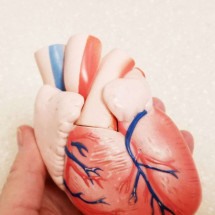 Cateterismo cardíaco esquerdo aprimora diagnósticos - DINO