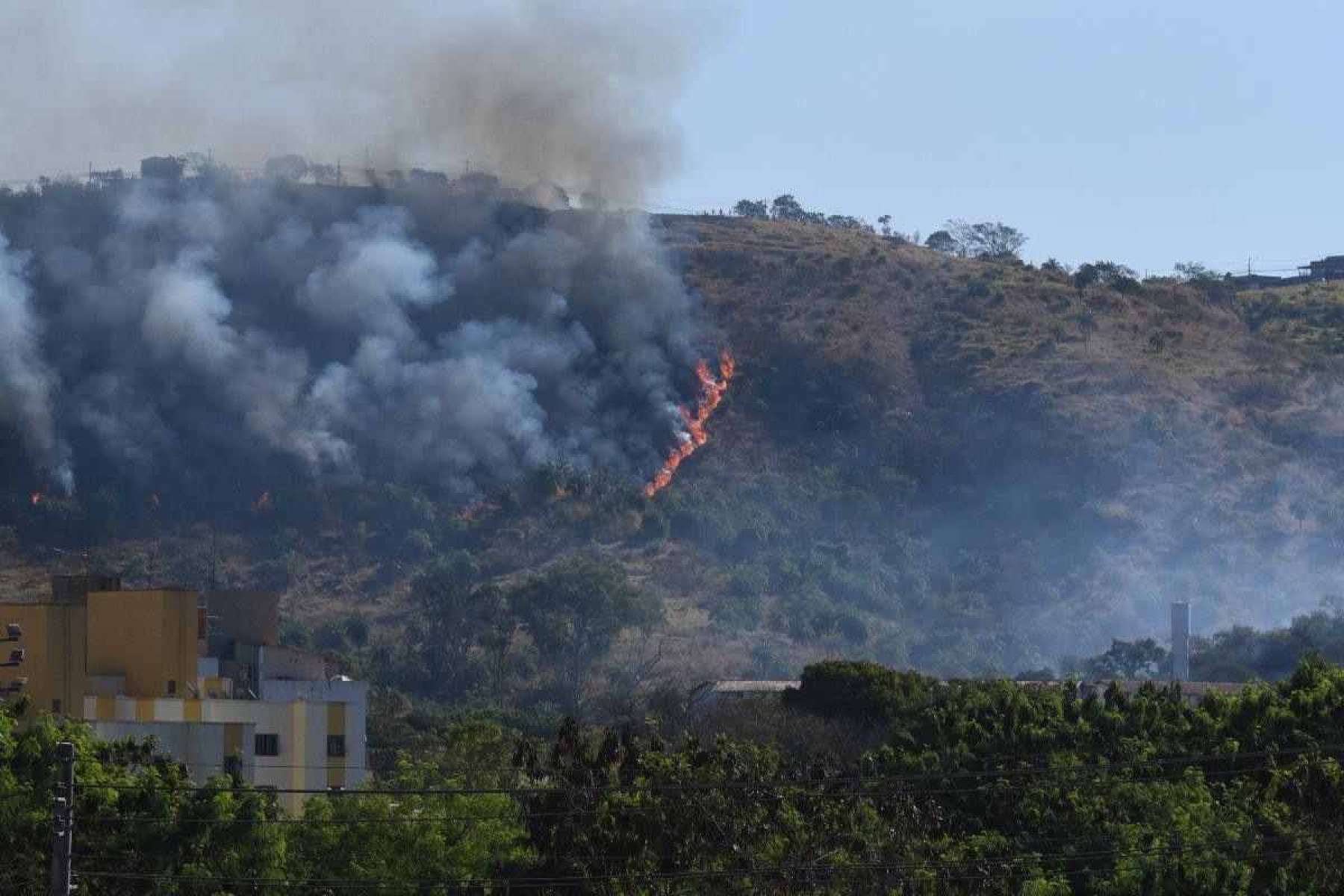 MG: junho foi o mês com mais registros de incêndios nos últimos cinco anos