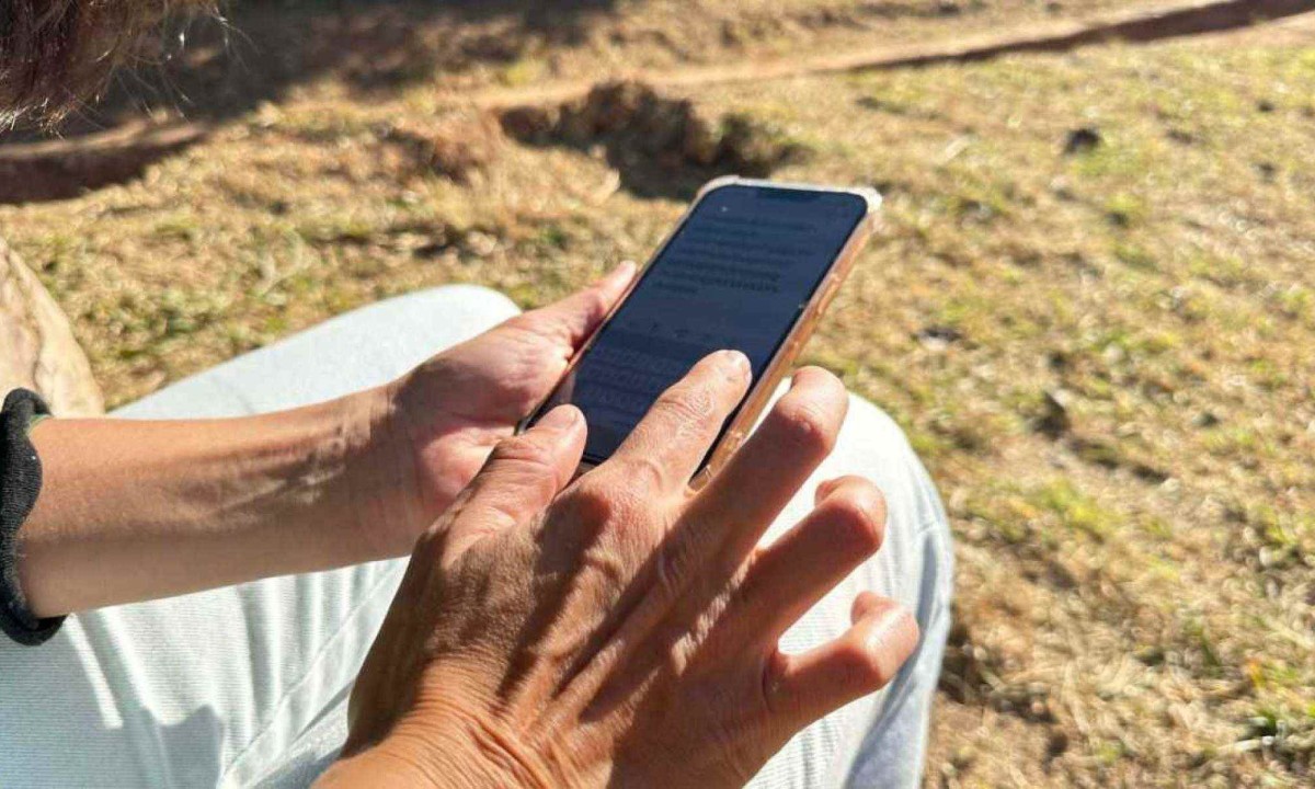 Ao menos 28.972 casos de estelionato foram denunciados a Polícia Civil de Minas Gerais só em 2024 -  (crédito: Divulgação / PCMG)