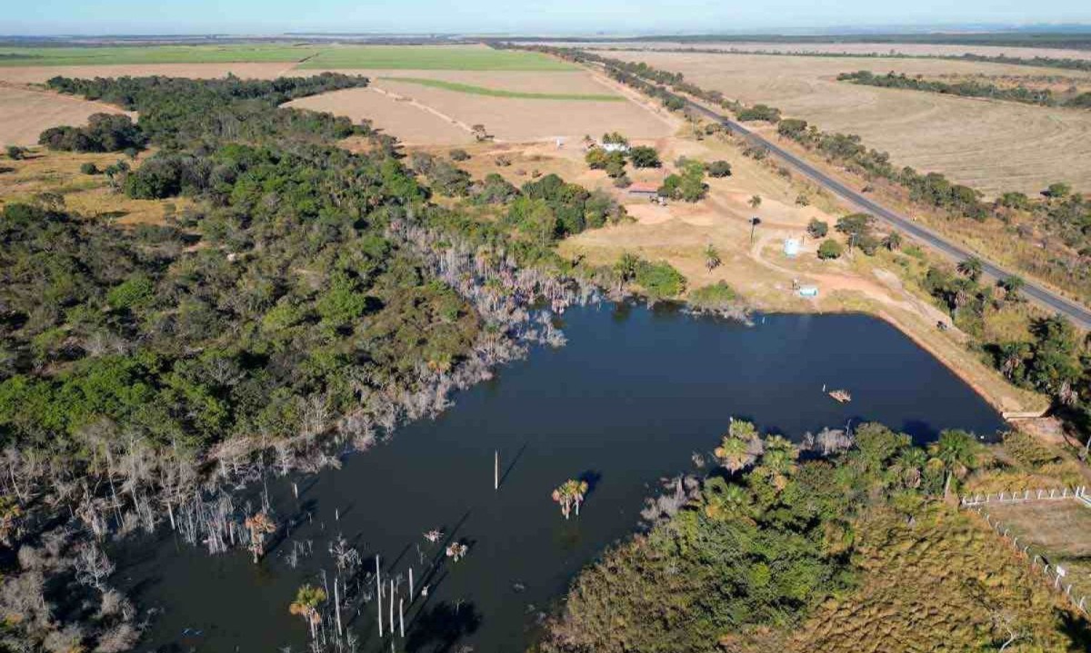 Água de vereda represada para sustentar pivôs centrais de irrigação em João Pinheiro: produtor relatou que áreas estavam sendo recuperadas -  (crédito: Alexandre Guzanshe/EM/D.A Press)