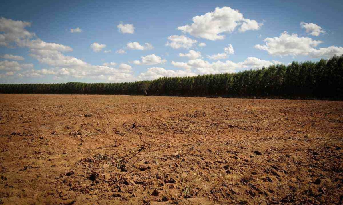 Área de cerrado devastada em Três Marias para estender a plantação de eucalipto: reserva legal nem sempre é respeitada por produtores rurais -  (crédito: Alexandre Guzanshe/EM/D.A Press)