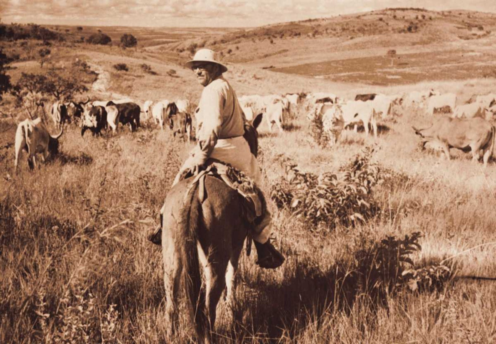  Projeto Compartilhe Conhecimento divulga livros sobre Minas Gerais