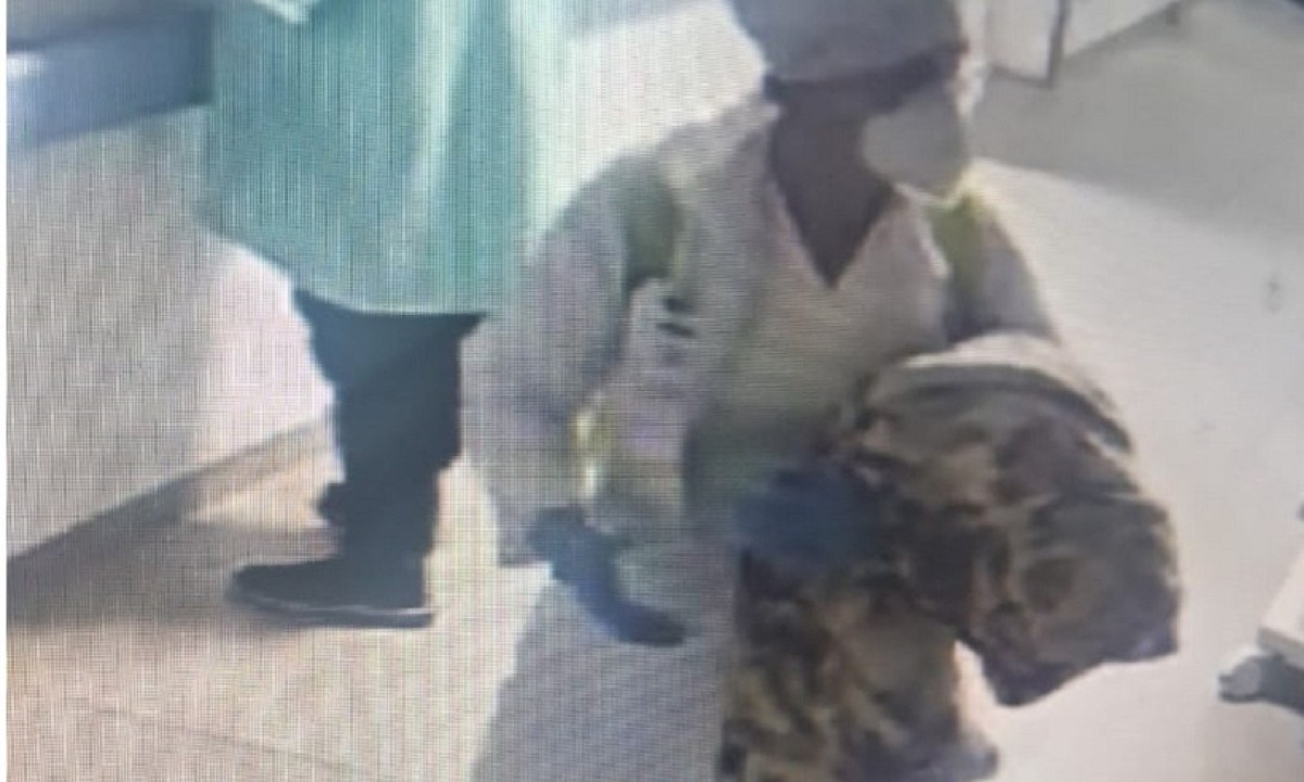 Mulher finge de médica e sequestra bebê em hospital - (crédito: Rede de Noticias)