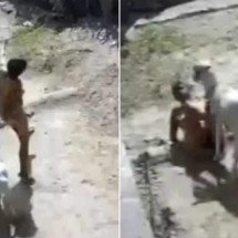 Cabra invade terreno e ataca mulher; veja o vídeo - Reprodução / Redes sociais