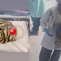 Médica que sequestrou bebê em Uberlândia é presa - Reprodução / Redes sociais