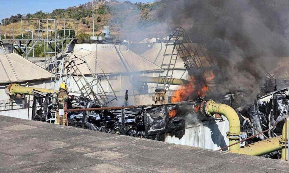 Bombeiros controlaram incêndio na cidade administrativa -  (crédito: CBMMG/Divulgação)