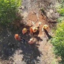 Localizada em Guanhães ossada de homem desaparecido desde abril - PCMG