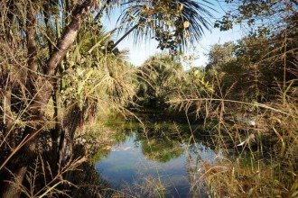 Um oásis de Guimarães Rosa ainda preservado e escondido no sertão mineiro