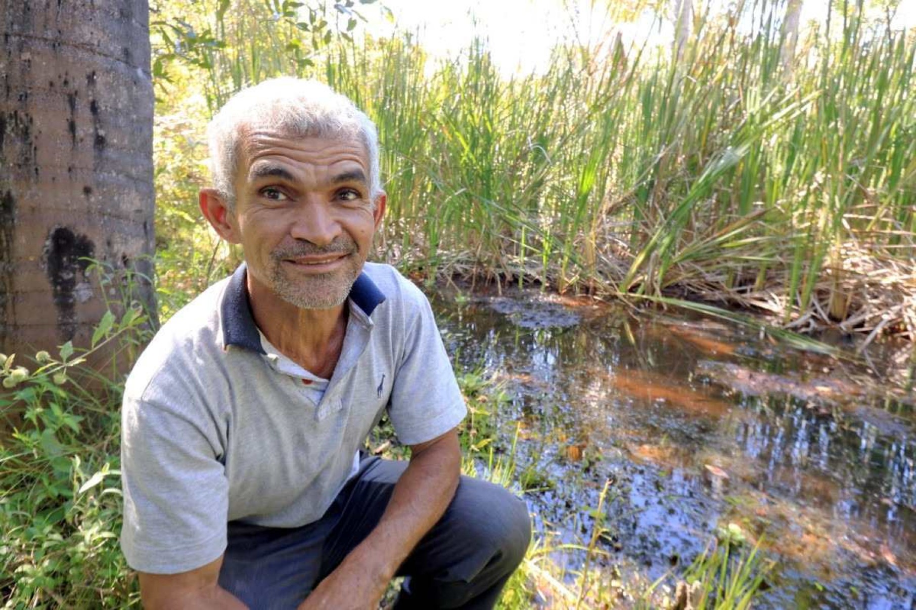 A doce vereda de Santino