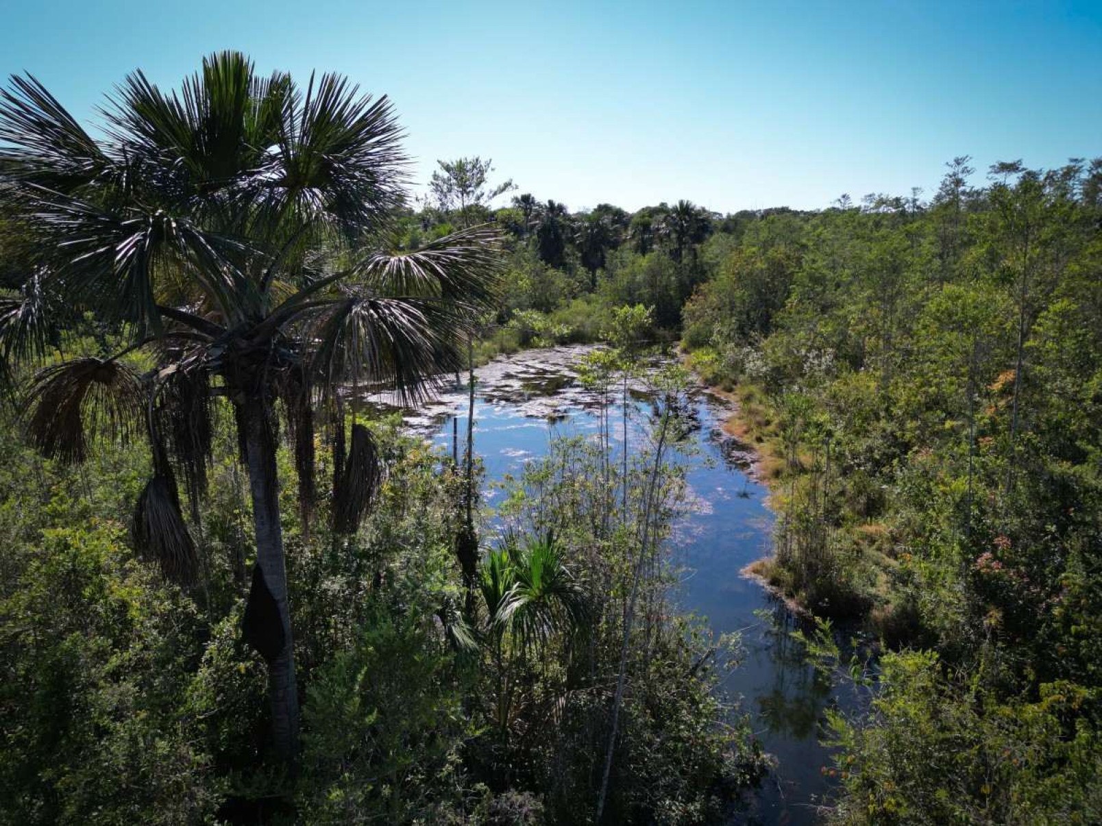 'Claráguas, fontes, sombreado e sol'