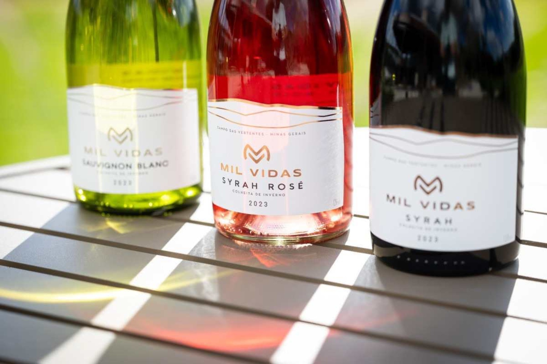 Vinhos Mil Vidas Syrah Tinto, Syrah Rosé e Sauvignon Blanc