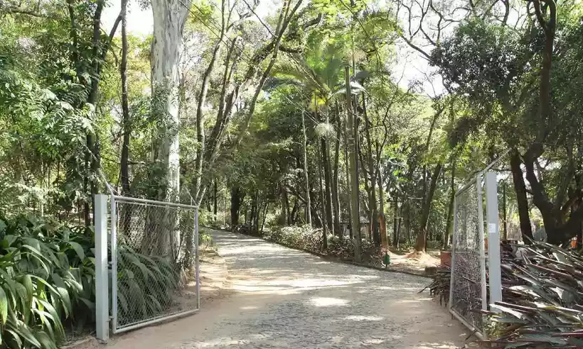 Crime aconteceu no Parque Guilherme Lage -  (crédito: Edésio Ferreira/EM/D/A.Press)