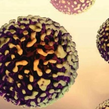 Hepatite viral: saiba como não pegar a doença - NIAID/Unsplash / Canaltech
