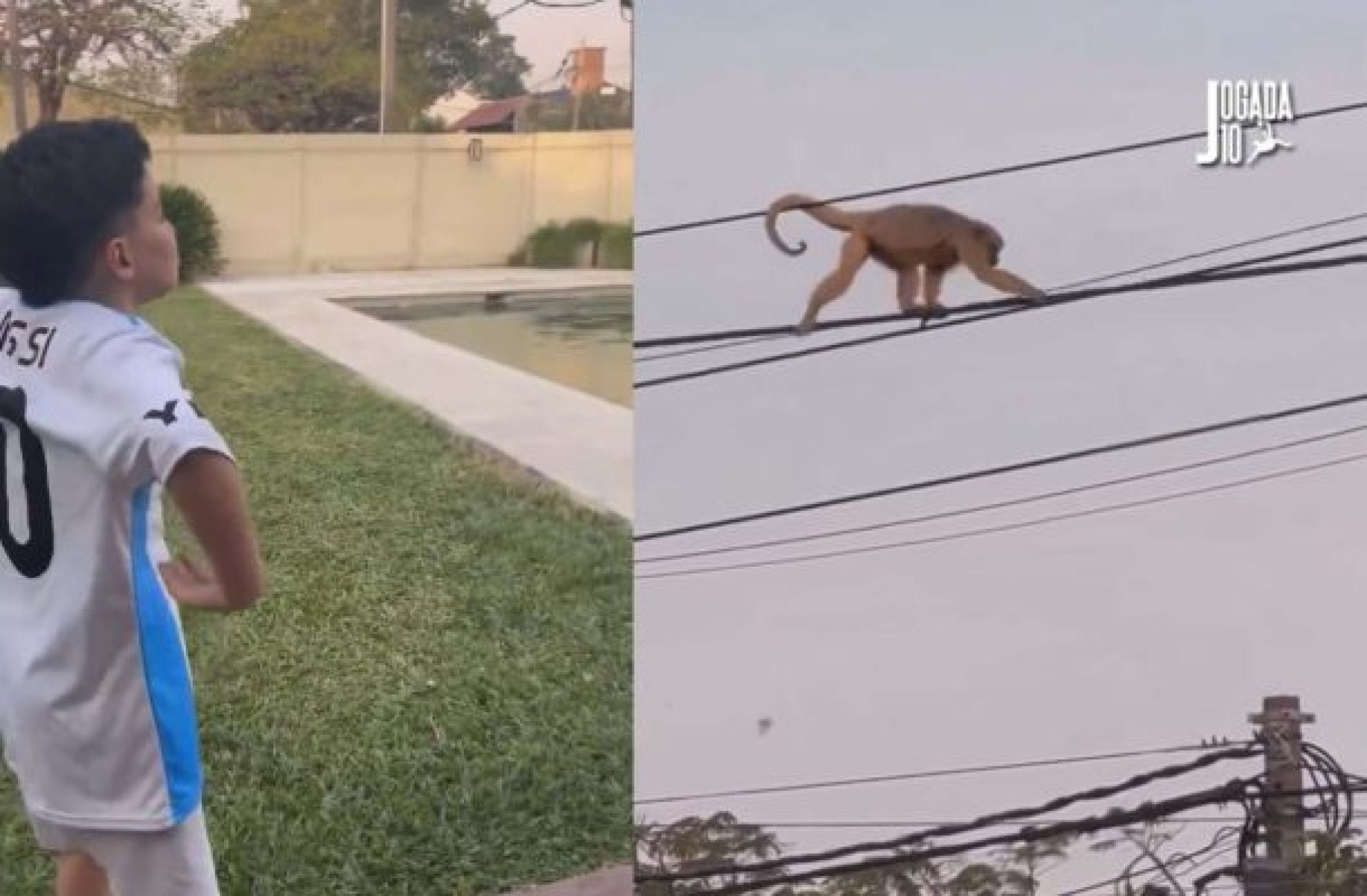 Criança argentina imita macaco e chama animal de Vini Jr