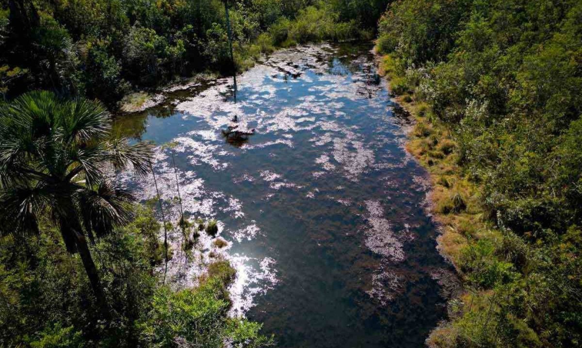 A BELEZA DA NATUREZA, E DAS VEREDAS EM PARTICULAR, NÃO É UMA MERA DESCRIÇÃO NA OBRA DE ROSA, DIZ A PROFESSORA: 