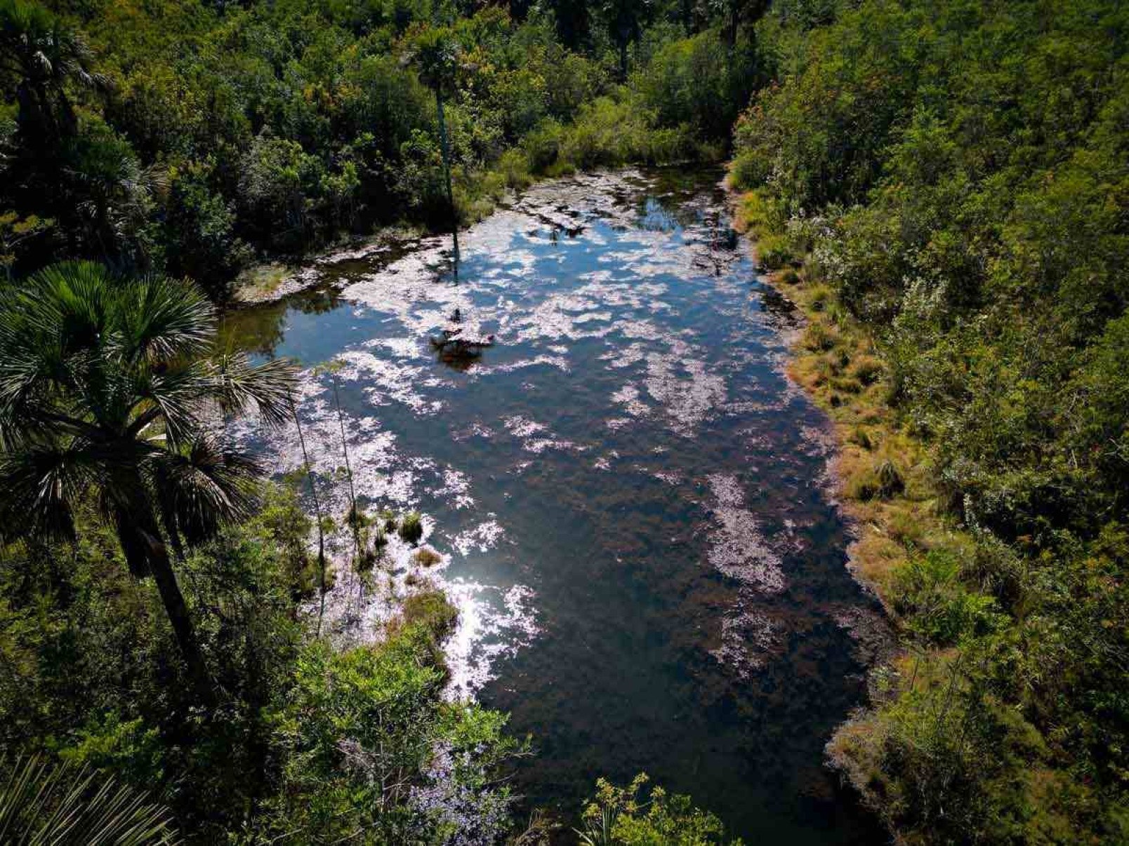 Livro analisa a natureza na obra de Guimarães Rosa