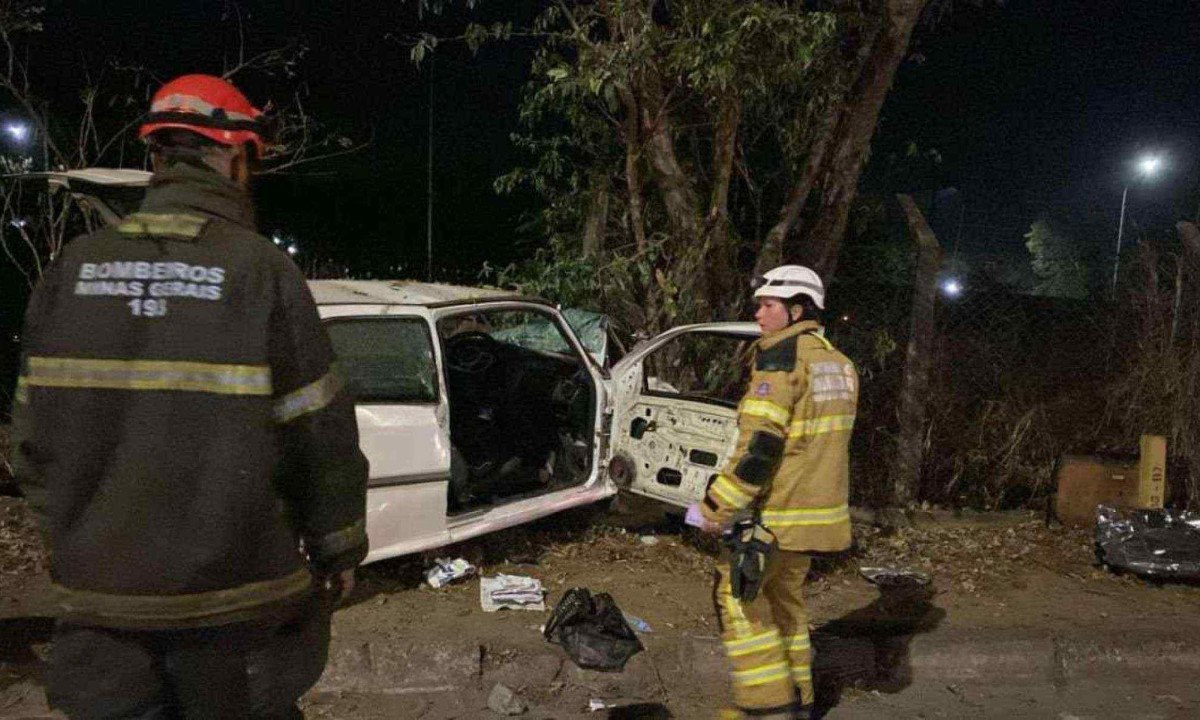 Carro colidiu com uma árvore em acidente na BR-381 -  (crédito: Reprodução/CBMMG)