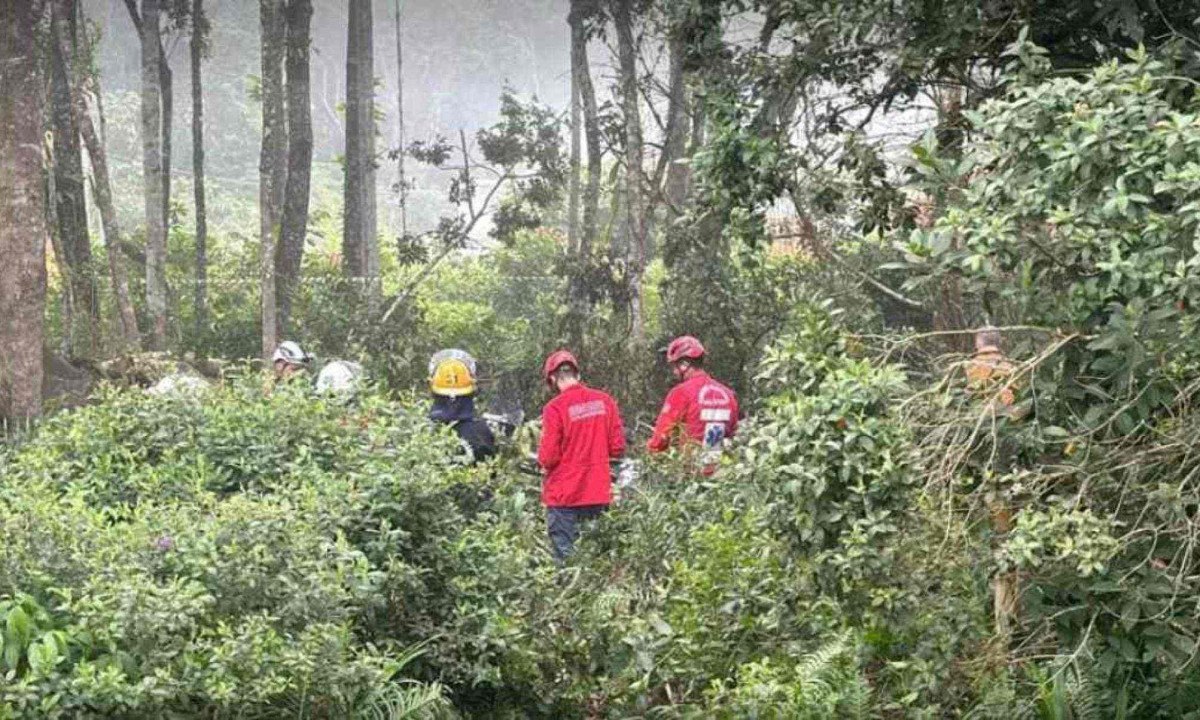 De acordo com os bombeiros, a aeronave caiu na mata pouco antes das 14h30 -  (crédito: Prefeitura de São Francisco do Sul/Divulgação)