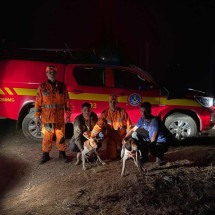 MG: família reencontra cachorras desaparecidas após operação dos bombeiros - Corpo de Bombeiros/Divulgação