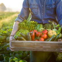 Dia do agricultor é um reconhecimento aos que produzem alimentos para o mundo - DINO