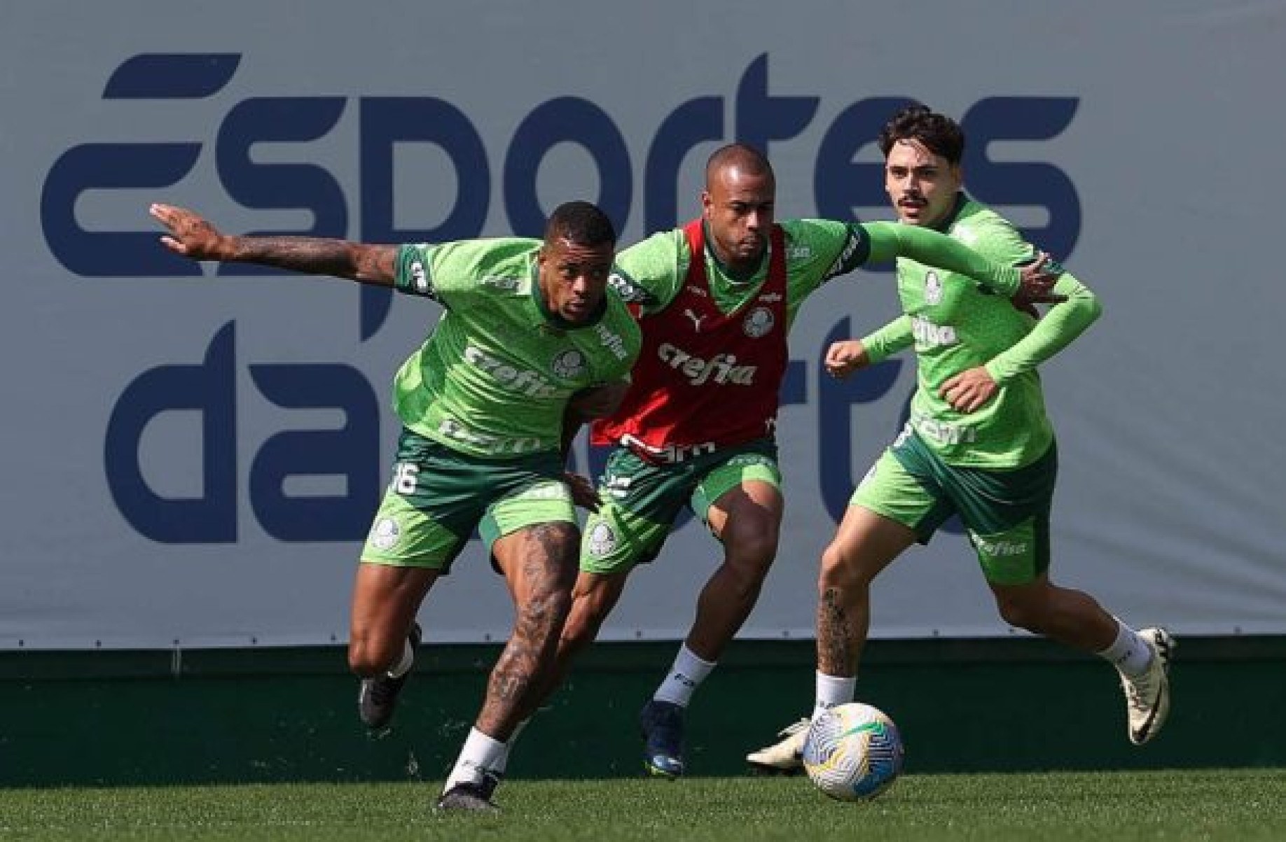 Palmeiras deve ter a volta de dois jogadores contra o Flamengo