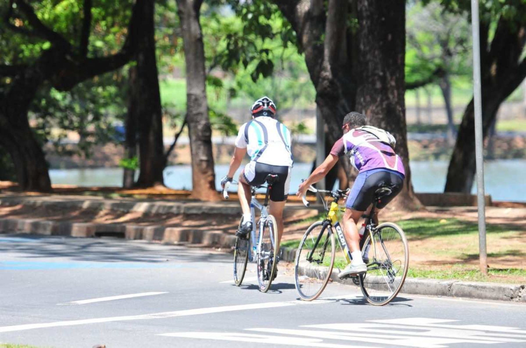 A bicicleta, saúde e consciência política