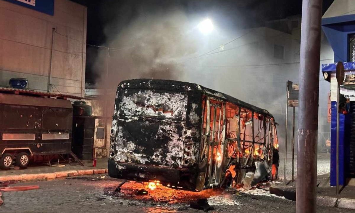 Micro-ônibus pega fogo e fica destruído por chamas na Grande BH -  (crédito: Luis Dutra/Portal Nova Lima)