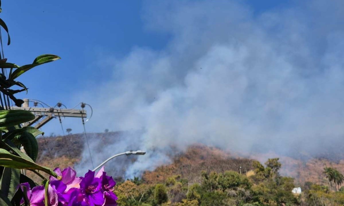 Incêndio no Mangabeiras, em BH -  (crédito: Jair Amaral/EM/D.A.Press)