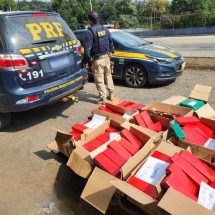 PRF intercepta em Minas caminhão com carga de maconha que veio do Paraná - PRF/Divulgação