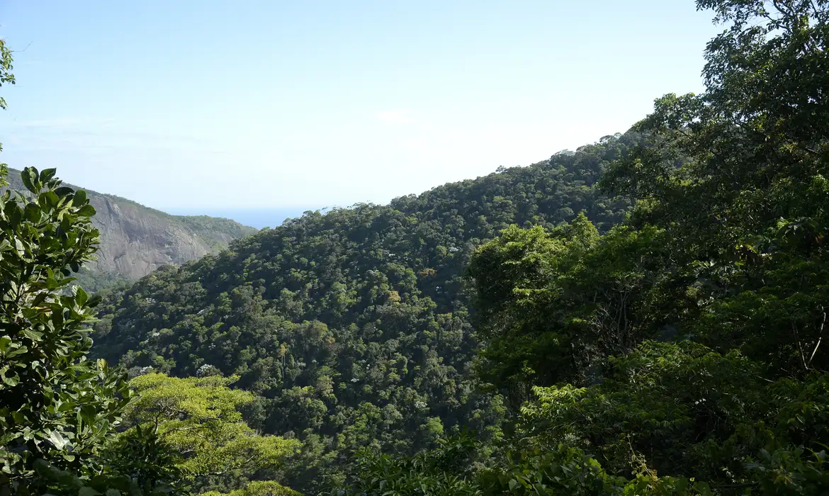 Propostas para o Plano Clima serão debatidas nos biomas brasileiros -  (crédito: EBC)