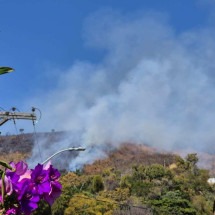 Incêndio atinge vegetação no Mangabeiras, próximo à Praça do Papa, em BH - Jair Amaral/EM/D.A.Press