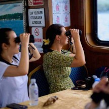 Participantes usam binóculos para avistar golfinhos de um barco durante um evento de observação de golfinhos no  Bósforo