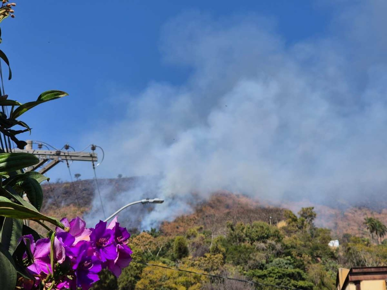 Incêndio atinge vegetação no Mangabeiras, próximo à Praça do Papa, em BH