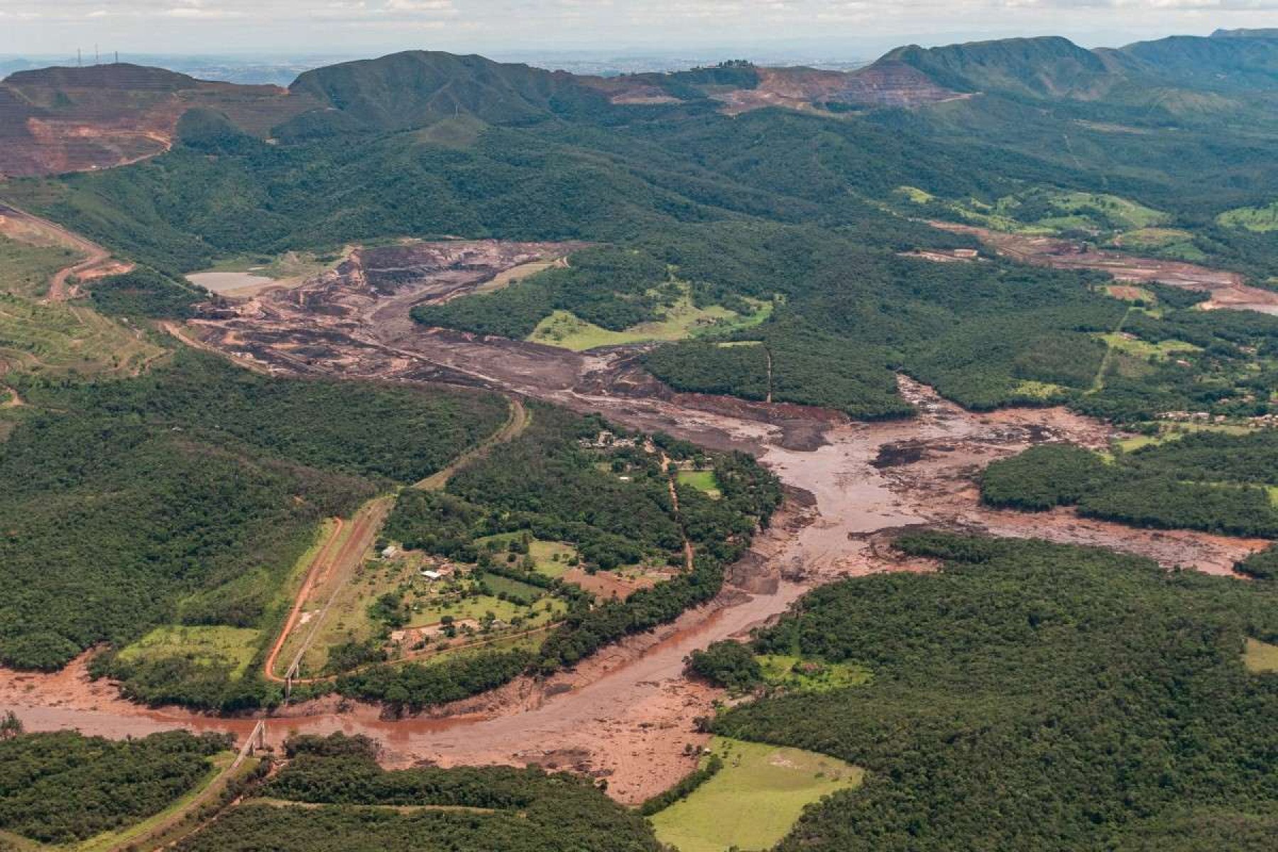 Brumadinho: ação pede julgamento de ex-presidente da Vale e R$ 200 milhões