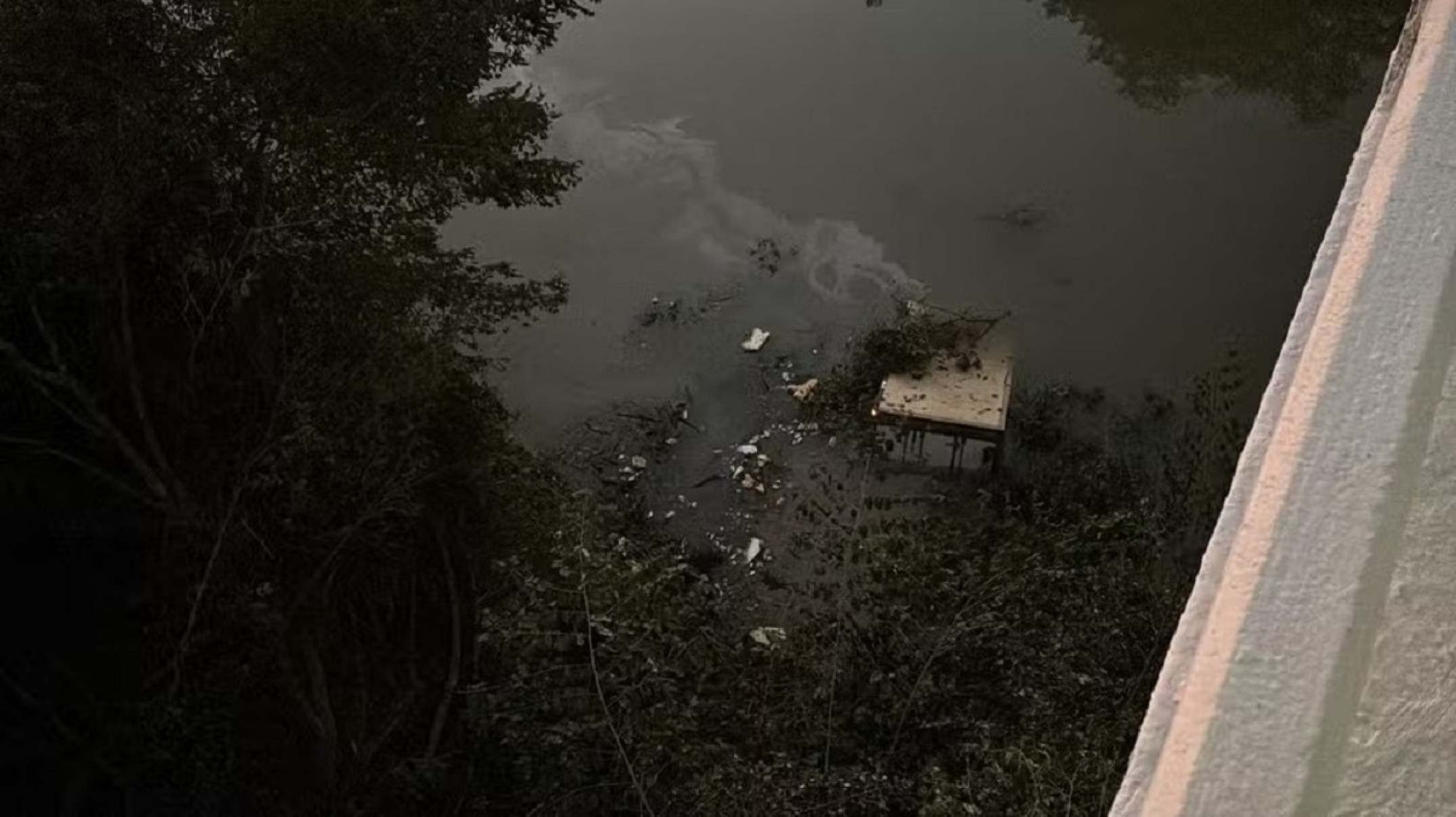 Motorista perde controle de caminhão e cai de ponte na BR-040