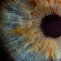 Problemas nos olhos podem indicar doenças no corpo - Unsplash