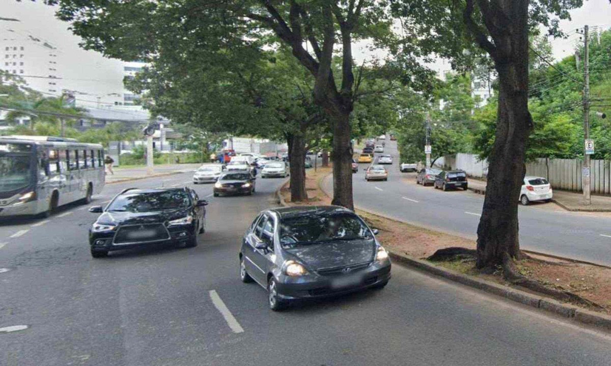 Mulher bate carro em árvore no canteiro central da Avenida Raja Gabaglia -  (crédito: Reprodução/Google)