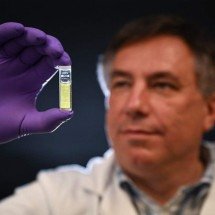 Apicultores e cientistas britânicos enfrentam o espinhoso problema do mel adulterado - Ben STANSALL / AFP