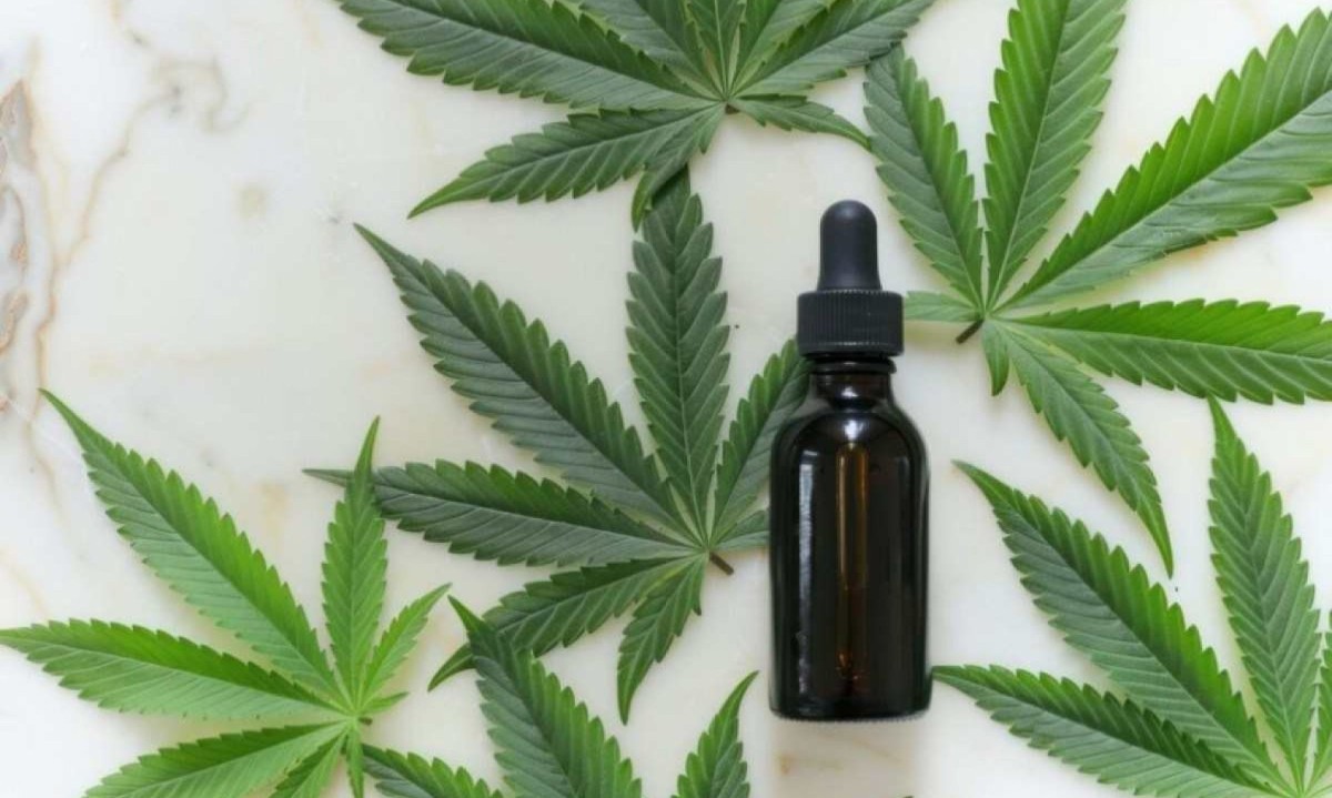 Dados indicam uma mudança de foco na população brasileira, com um interesse crescente pela utilização medicinal da cannabis -  (crédito: Freepik)