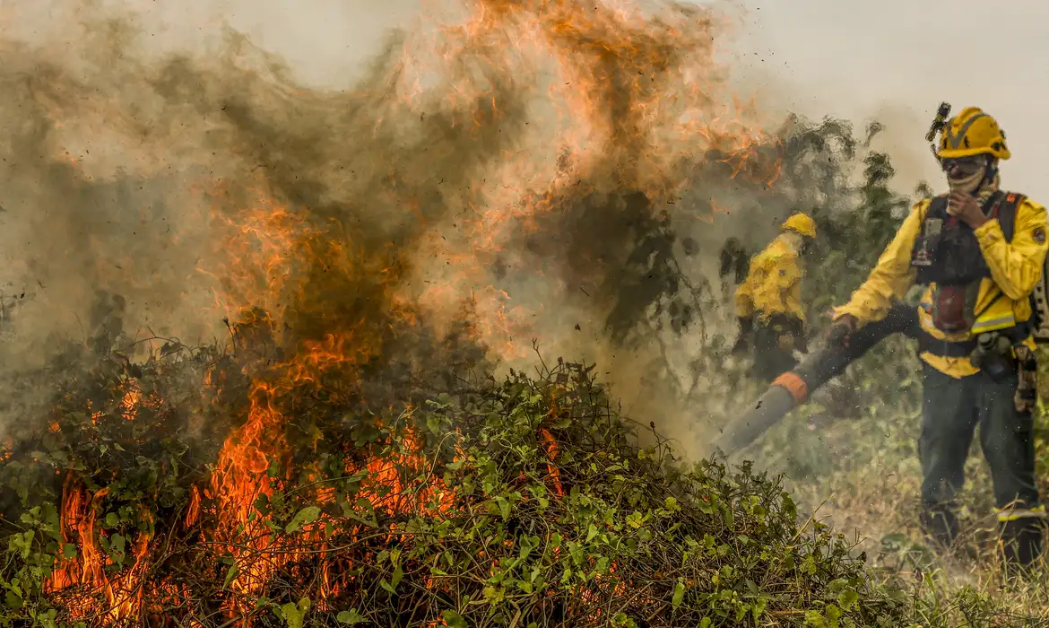 Fogo já consumiu 1,3 milhão de hectares e volta a aumentar no Pantanal -  (crédito: EBC)