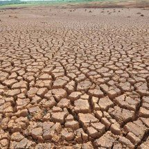 Seca faz com que 135 cidades de Minas entrem em situação de emergência - Beto Novaes/EM/D.A Press. Brasil