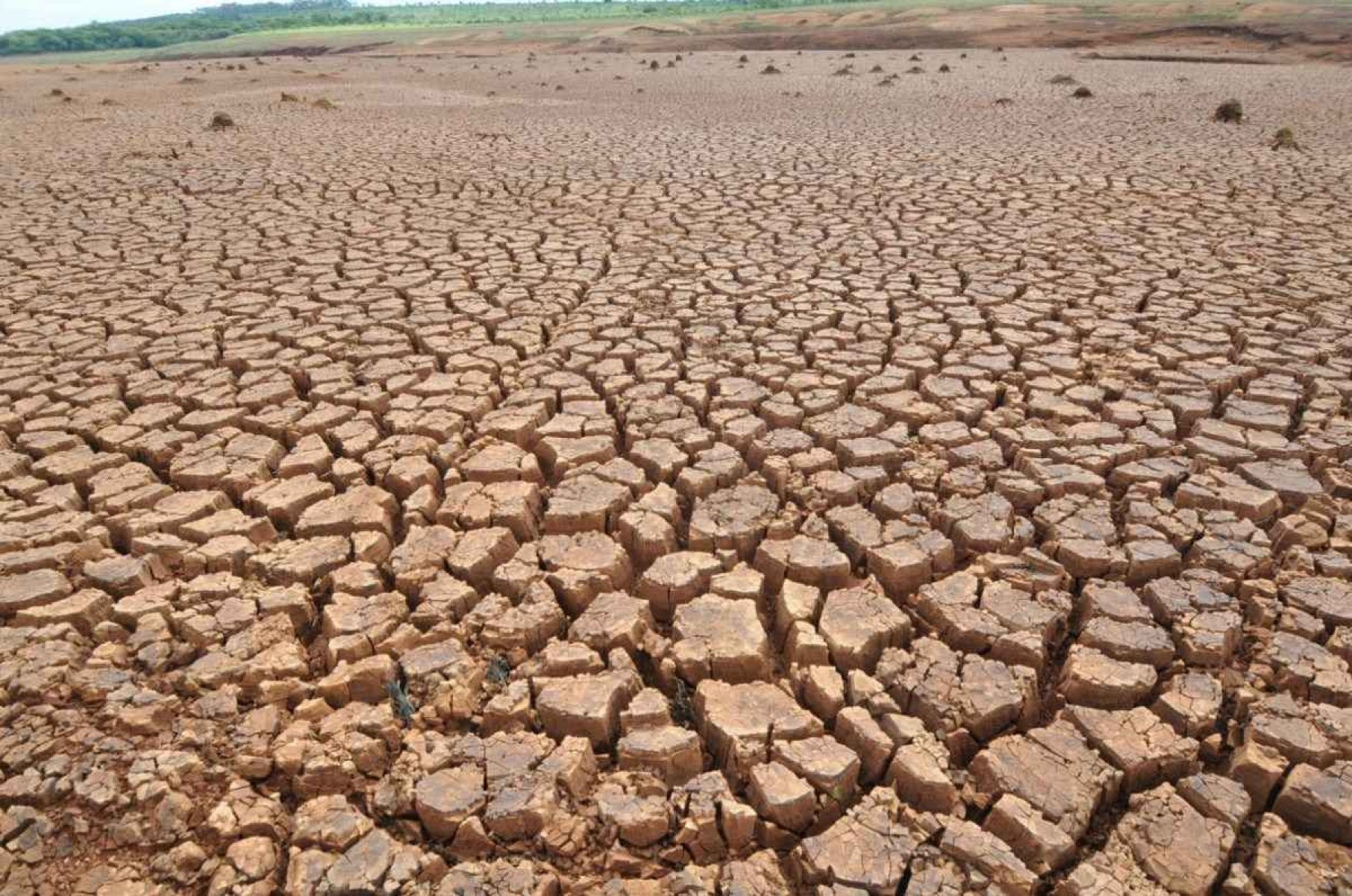 Seca faz com que 135 cidades de Minas entrem em situação de emergência