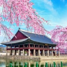K-pop e K-dramas estimulam aprendizado do coreano no Brasil -  Guitar_Tawatchai