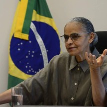 'Os homens legislam, mas a natureza não assimila', afirma Marina Silva -  Marcelo Ferreira/CB/D.A Press