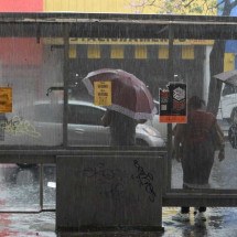 Frio em Minas: fim de semana pode ter chuva, geada e mínima de 0°C  - Túlio Santos/EM/D.A Press