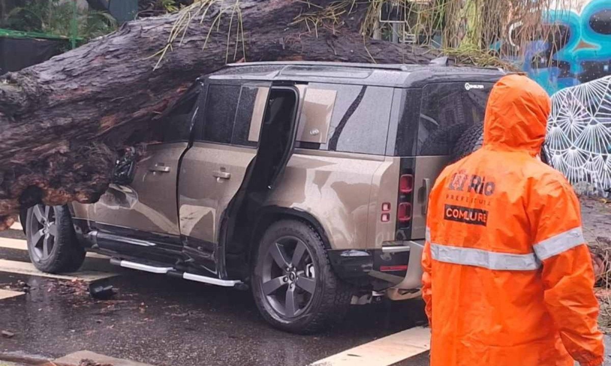 Árvore atingiu carro na altura do para-brisa dianteiro e fez grande estrago -  (crédito: Cyro Neves / Tupi)