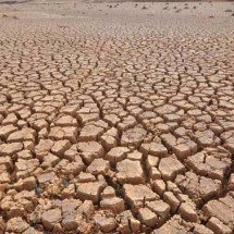 Tempo seco deixa 137 cidades de Minas em situação de emergência; veja lista - Beto Novaes/EM/D.A Press. Brasil