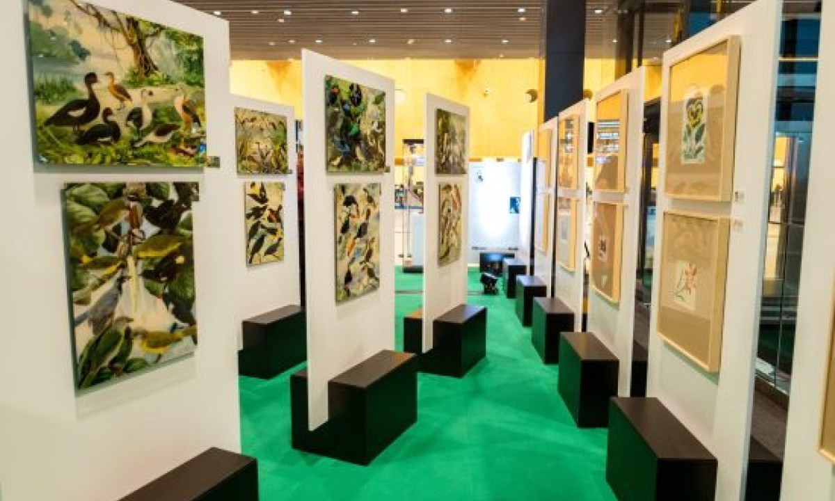 Exposição O Legado Suíço na Amazônia ocorre em Florianópolis -  (crédito: DINO)