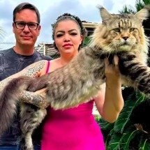 Brasileiros tentam registrar gato como o "maior do mundo" - arquivo pessoal
